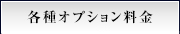 各種オプション料金