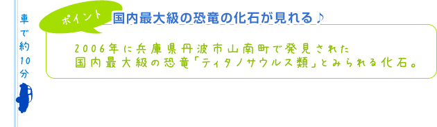 【ポイント】国内最大級の恐竜の化石が見れる♪2006年に兵庫県丹波市山南町で発見された国内最大級の恐竜「ティタノサウルス類」とみられる化石。