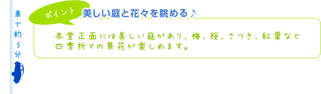 【ポイント】美しい庭と花々を眺める♪本堂正面には美しい庭があり、梅、桜、さつき、紅葉など四季折々の草花が楽しめます。